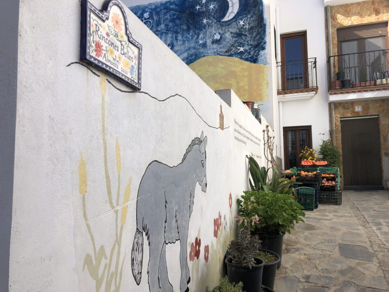 'Platero y yo' en las paredes de Almócita. | Alba O./QVEA
