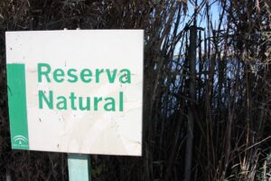 Reserva Natural de la Albufera de Adra. | Anyo/QVEA