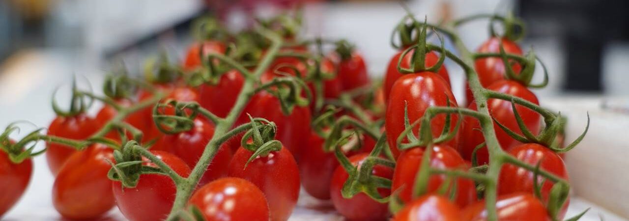 Descubre Almería a través del sabor más auténtico