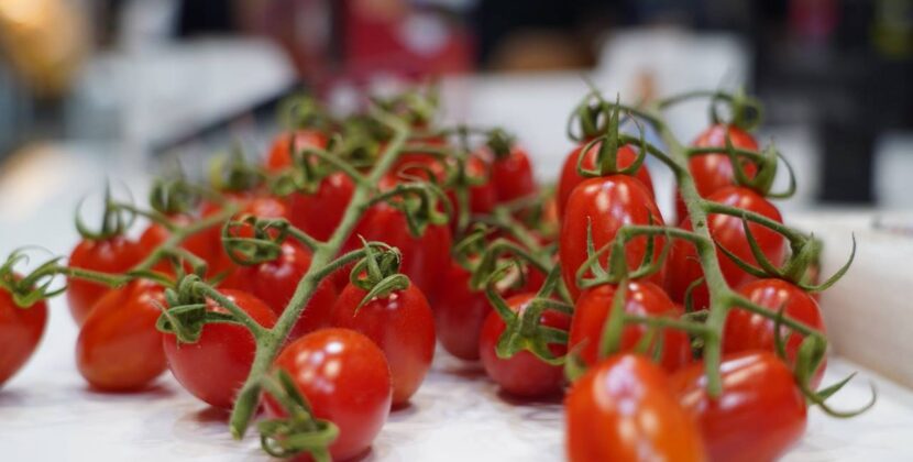 Descubre Almería a través del sabor más auténtico