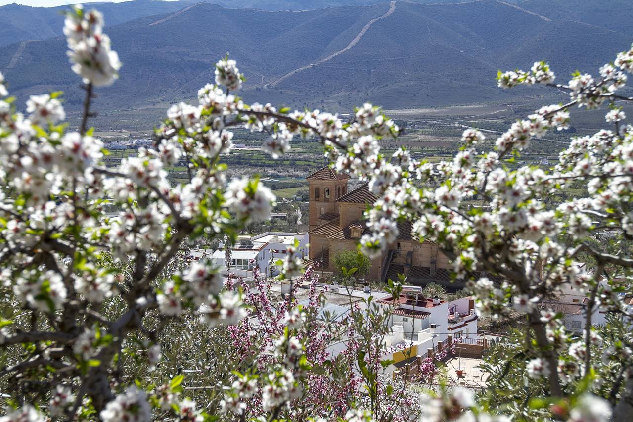 Panorámica de Laujar de Andarax. | DIPUTACIÓN DE ALMERÍA