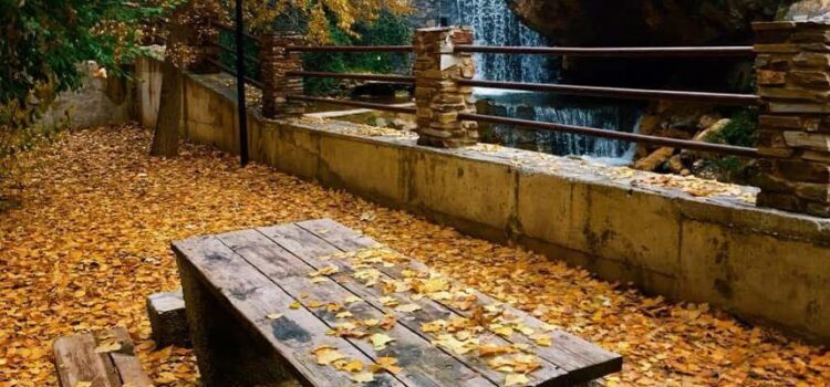 Almería a través de sus bosques