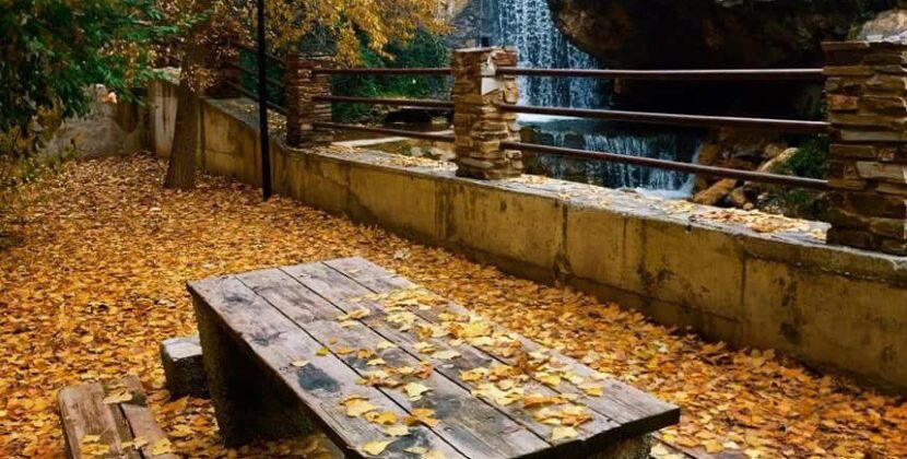 Almería a través de sus bosques