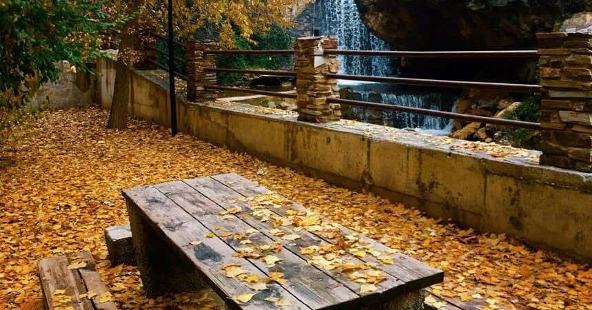 Almería a través de sus bosques